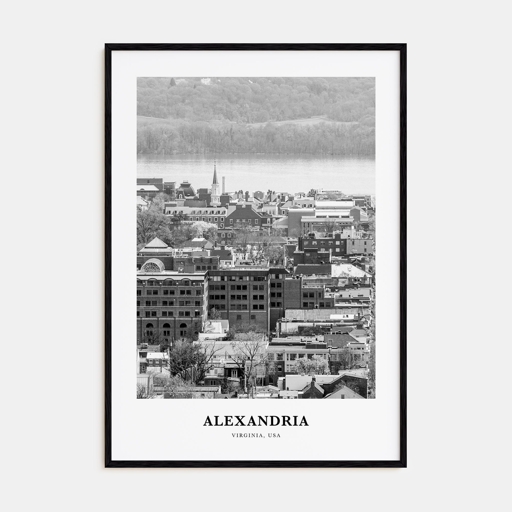 Alexandria, Virginia Portrait B&W Poster