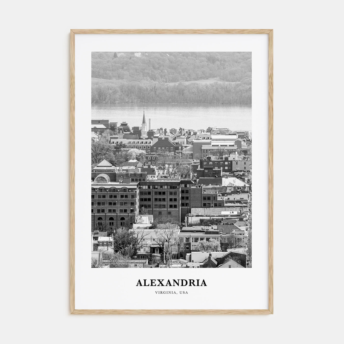 Alexandria, Virginia Portrait B&W Poster