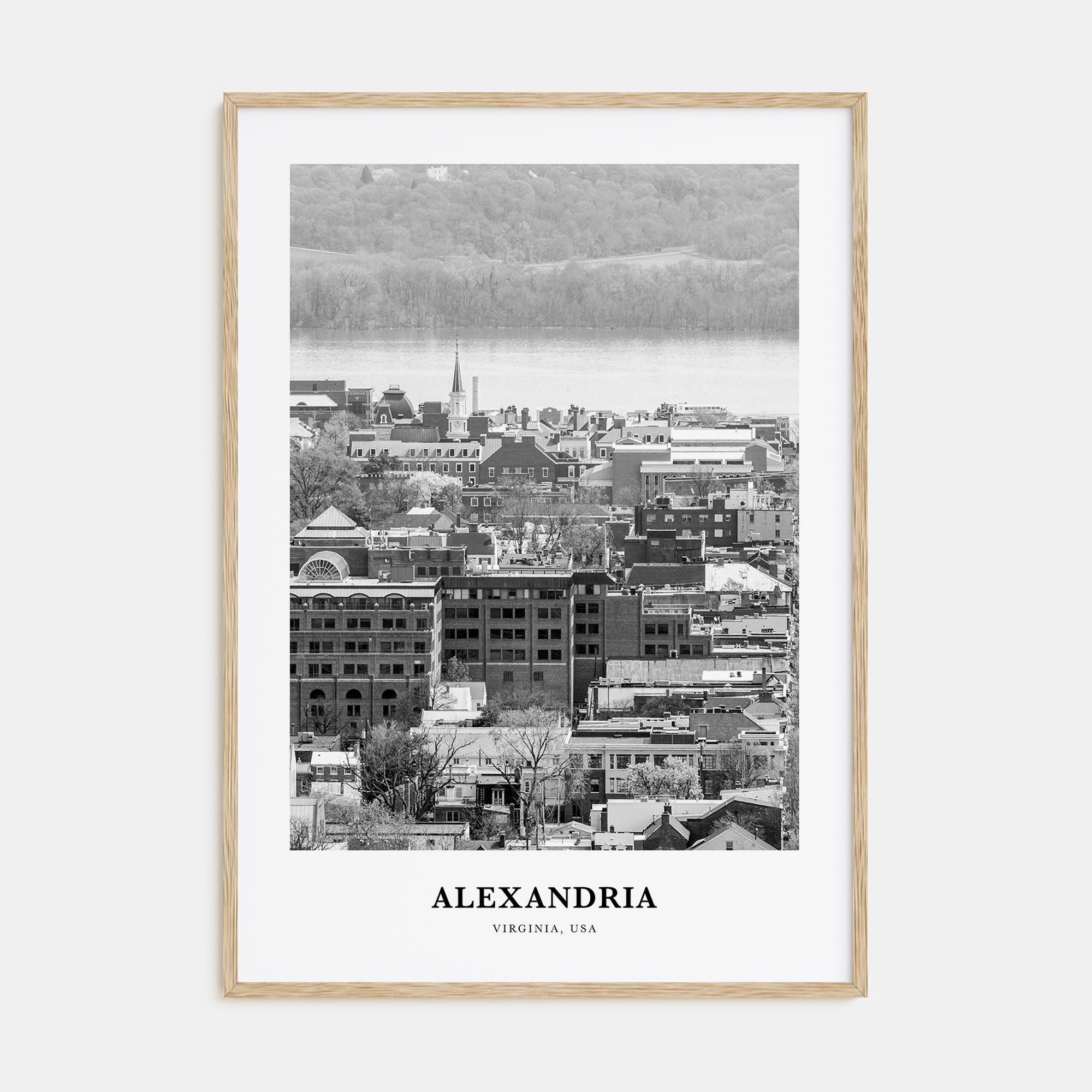 Alexandria, Virginia Portrait B&W Poster