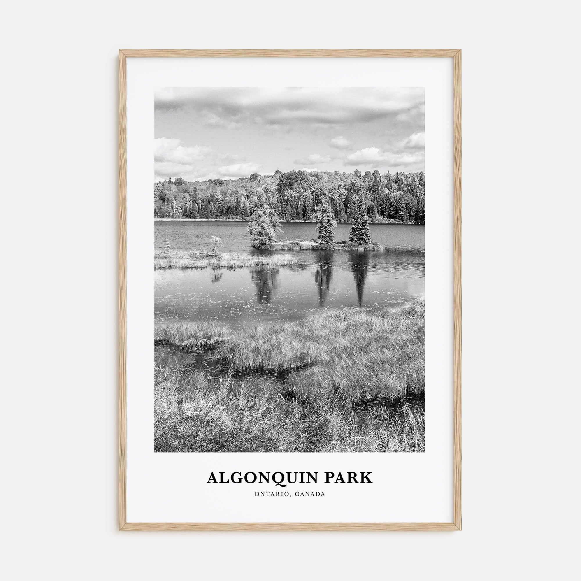Algonquin Park Portrait B&W Poster