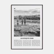 Algonquin Park Travel B&W Poster