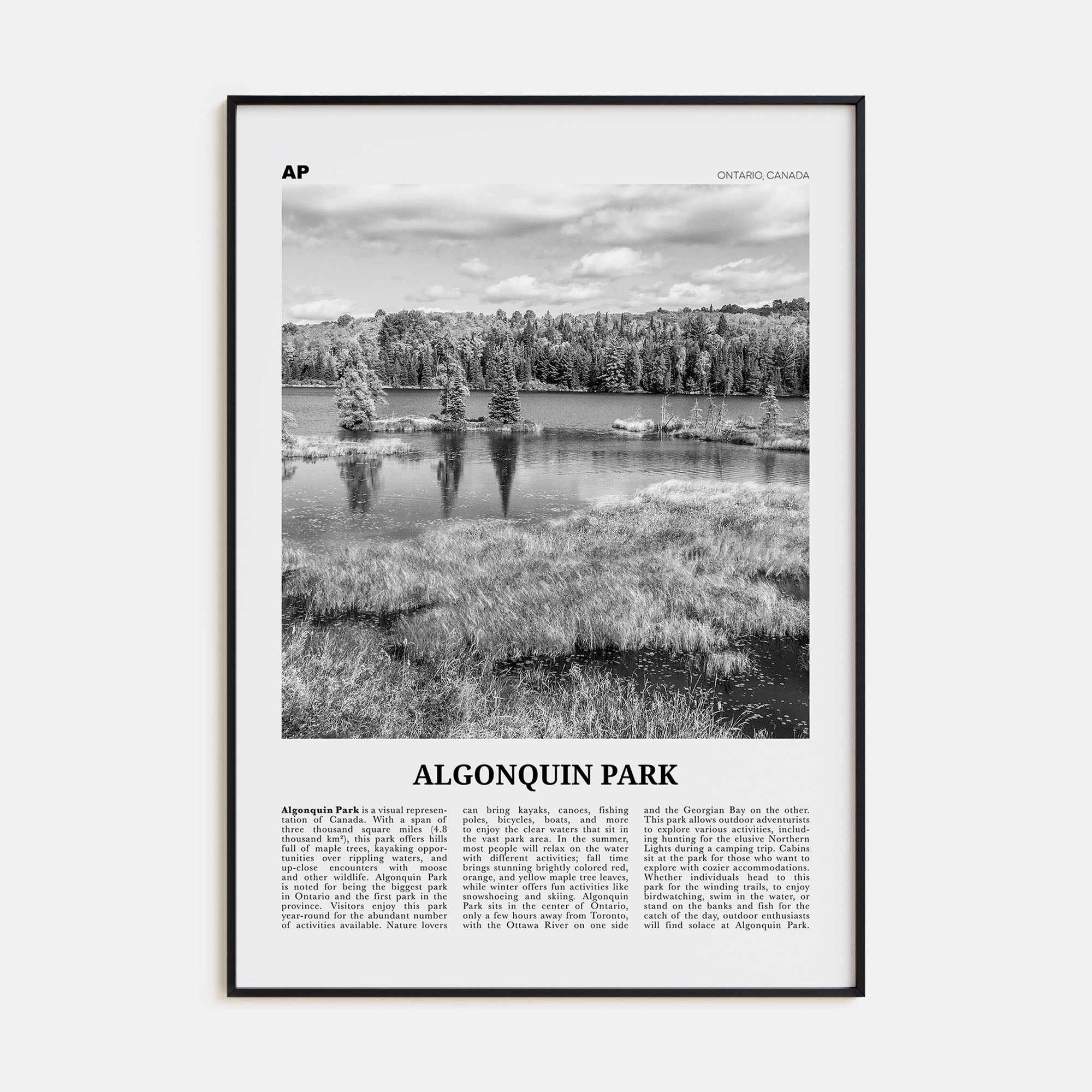 Algonquin Park Travel B&W Poster