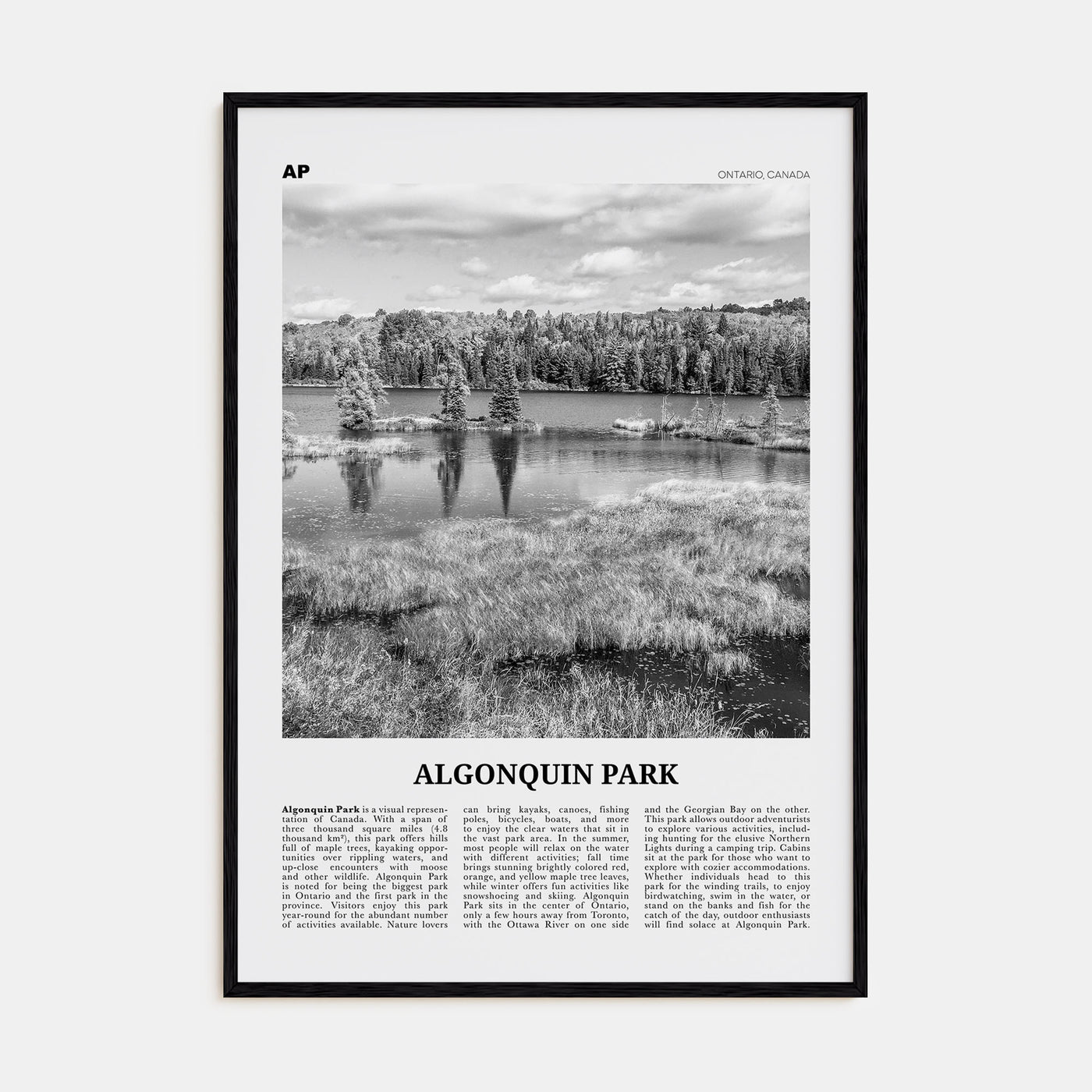 Algonquin Park Travel B&W Poster