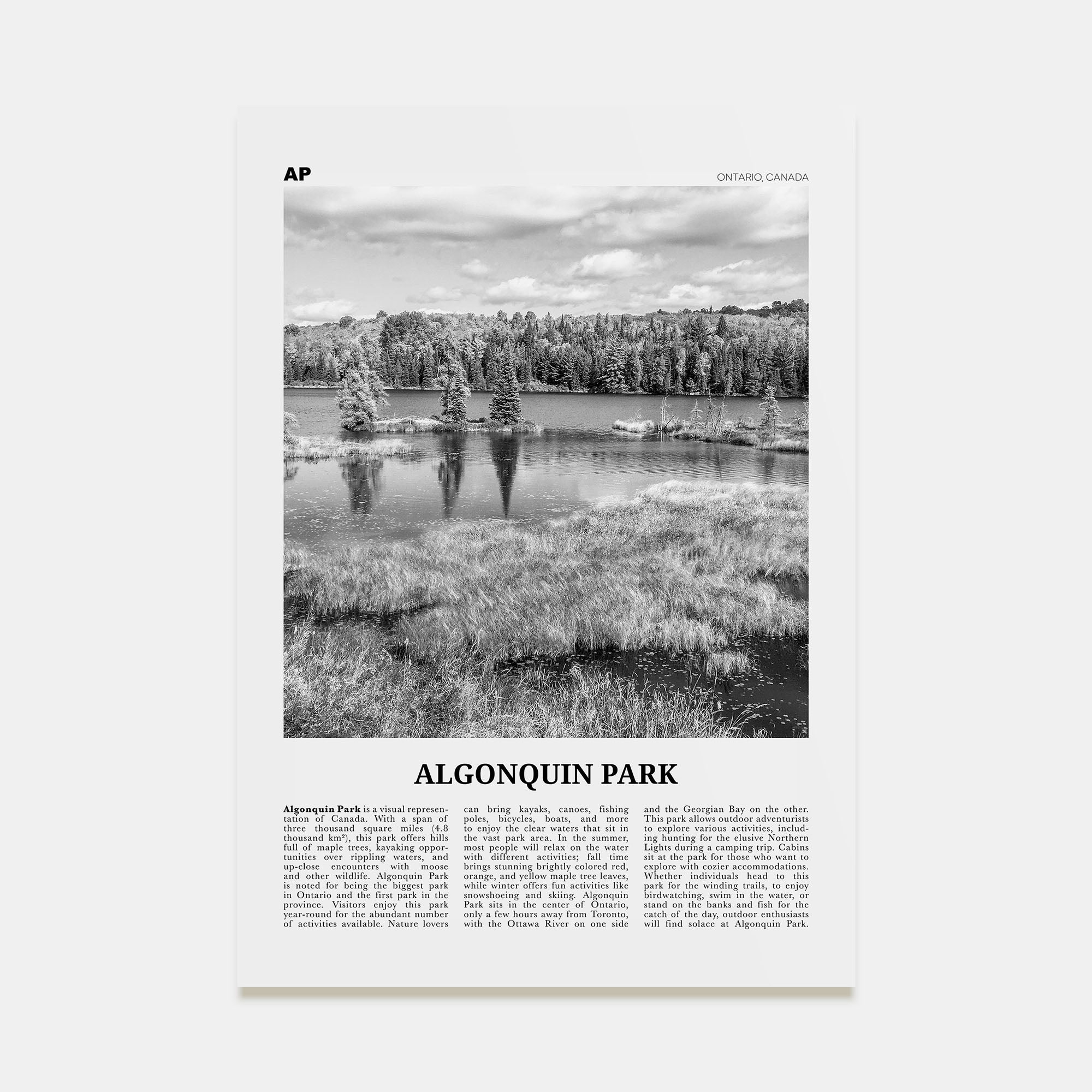 Algonquin Park Travel B&W Poster