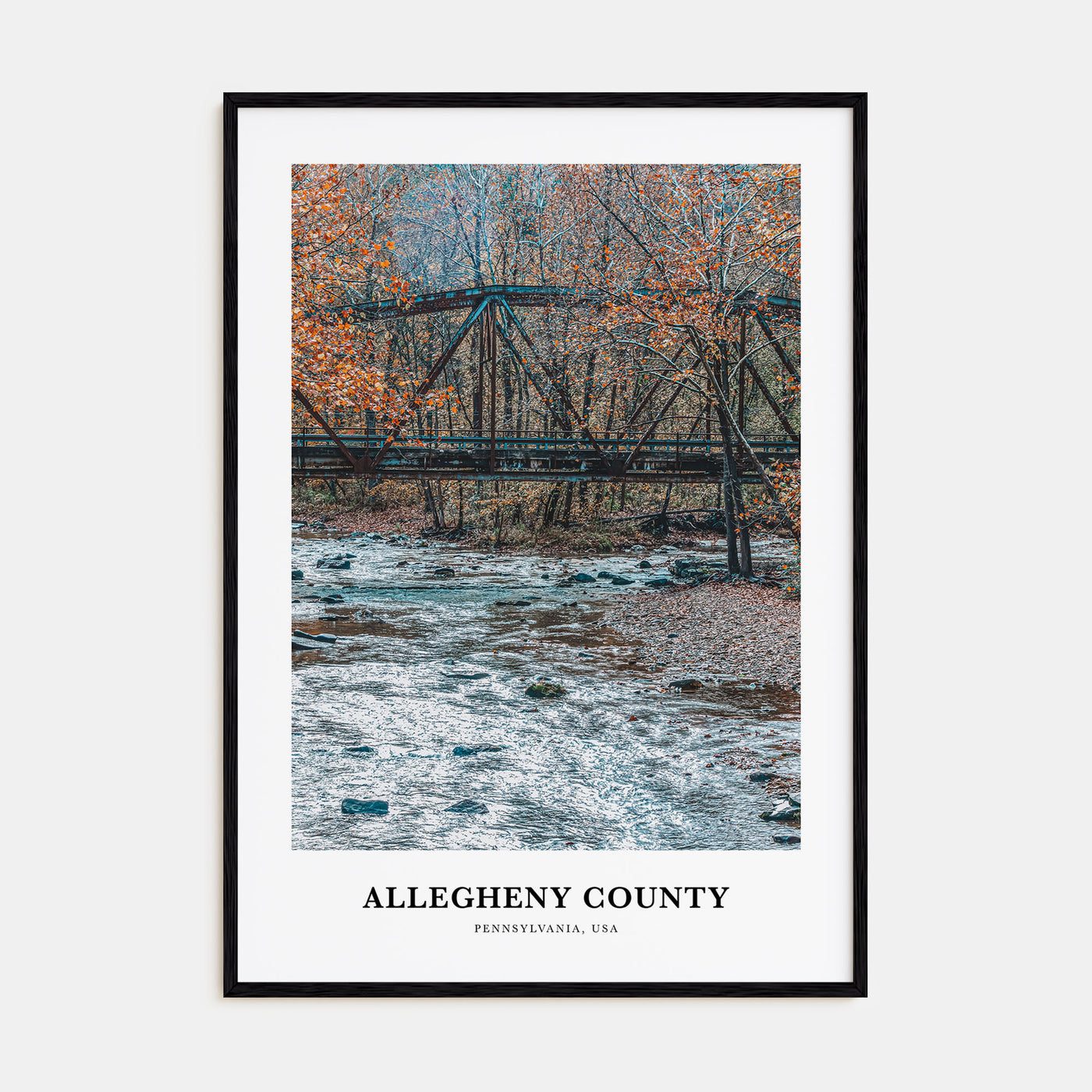 Allegheny County Portrait Color Poster