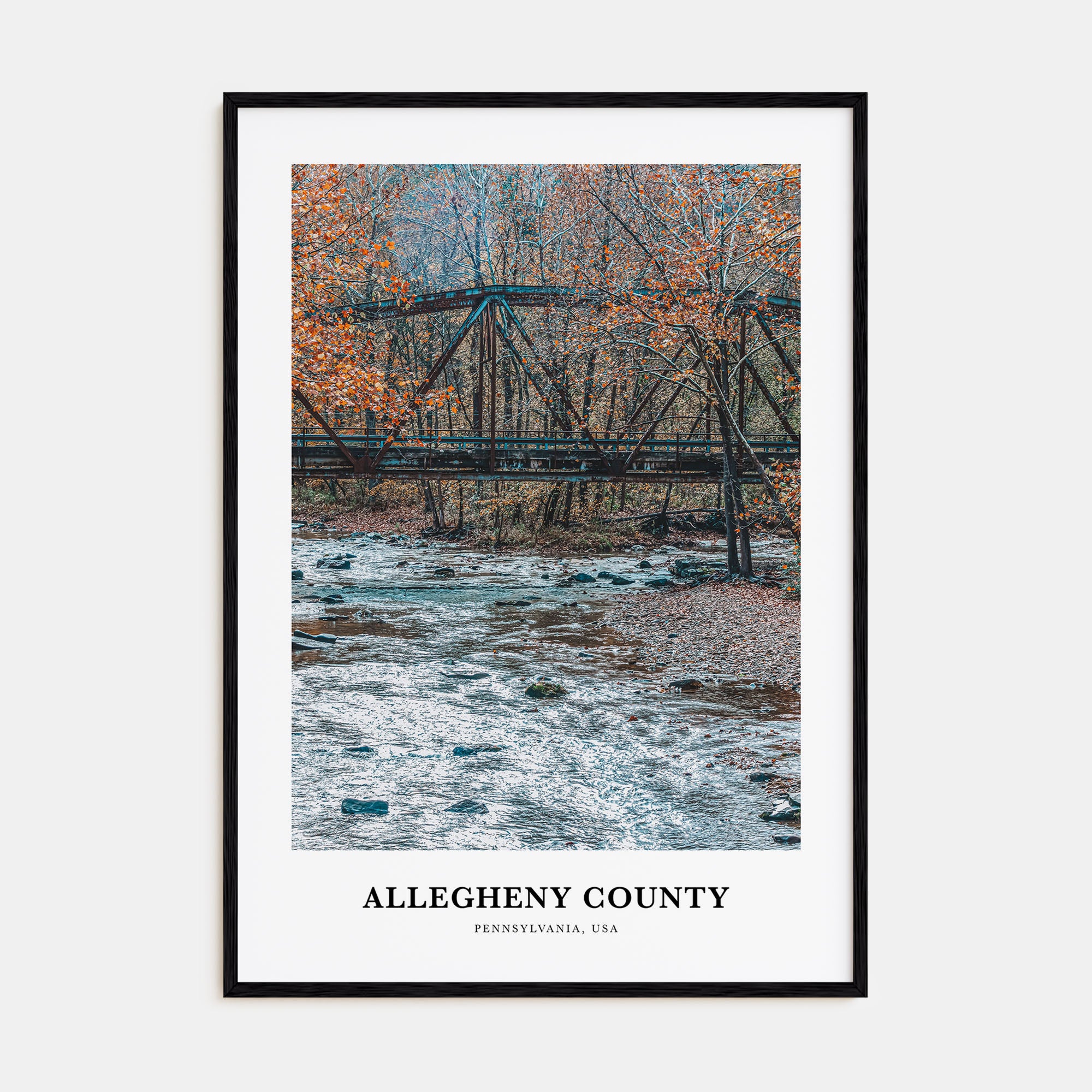 Allegheny County Portrait Color Poster
