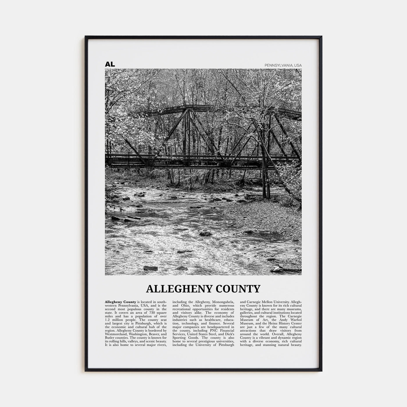 Allegheny County Travel B&W Poster