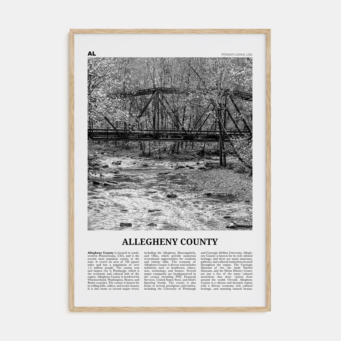 Allegheny County Travel B&W Poster