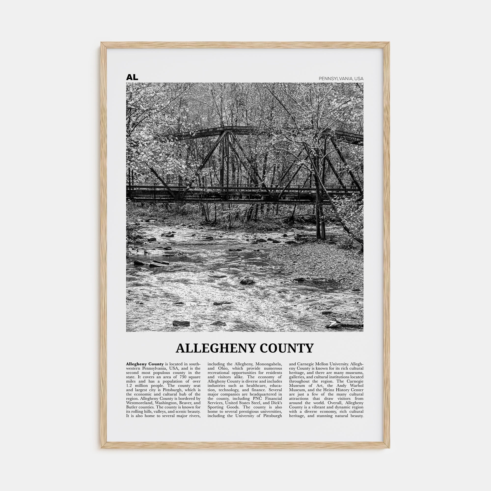 Allegheny County Travel B&W Poster