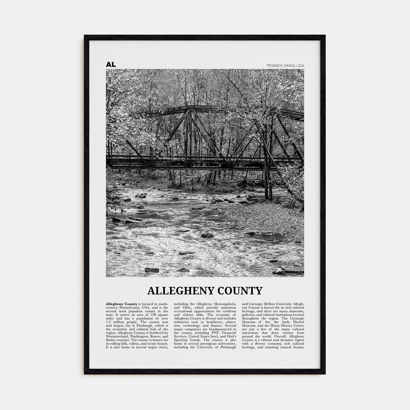 Allegheny County Travel B&W Poster