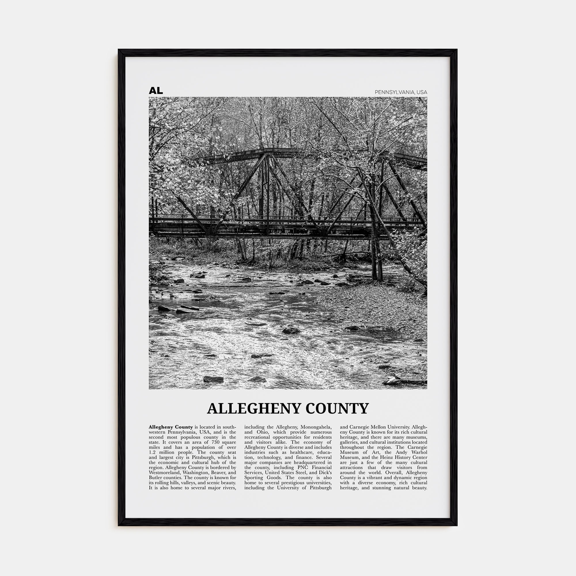 Allegheny County Travel B&W Poster