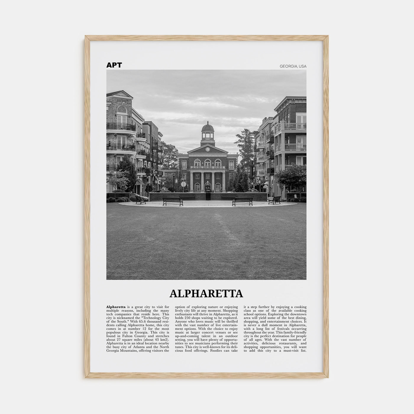 Alpharetta Travel B&W Poster