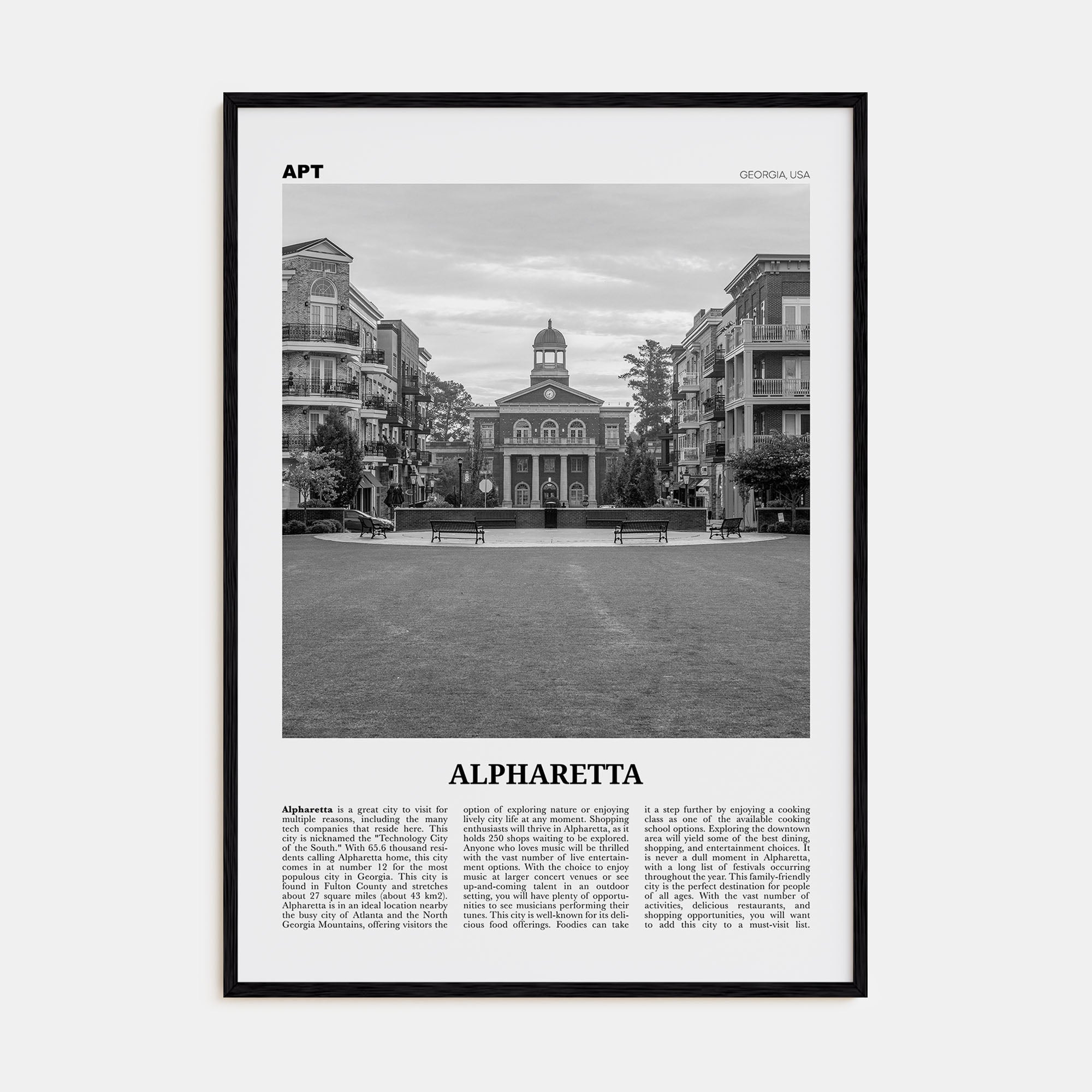 Alpharetta Travel B&W Poster