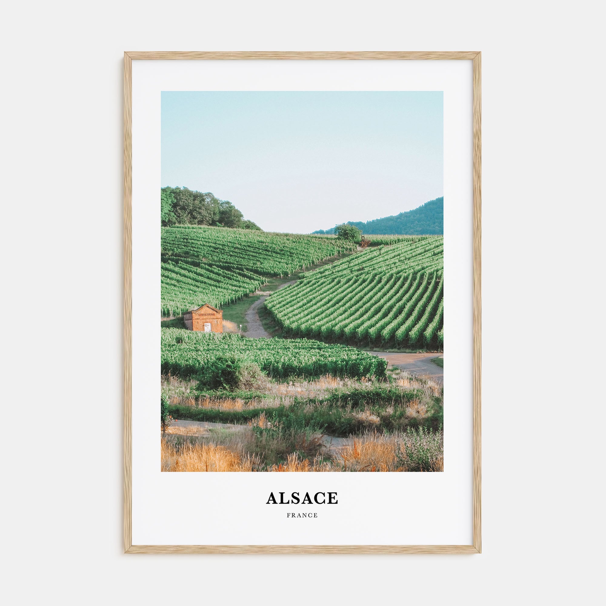 Alsace Portrait Color Poster