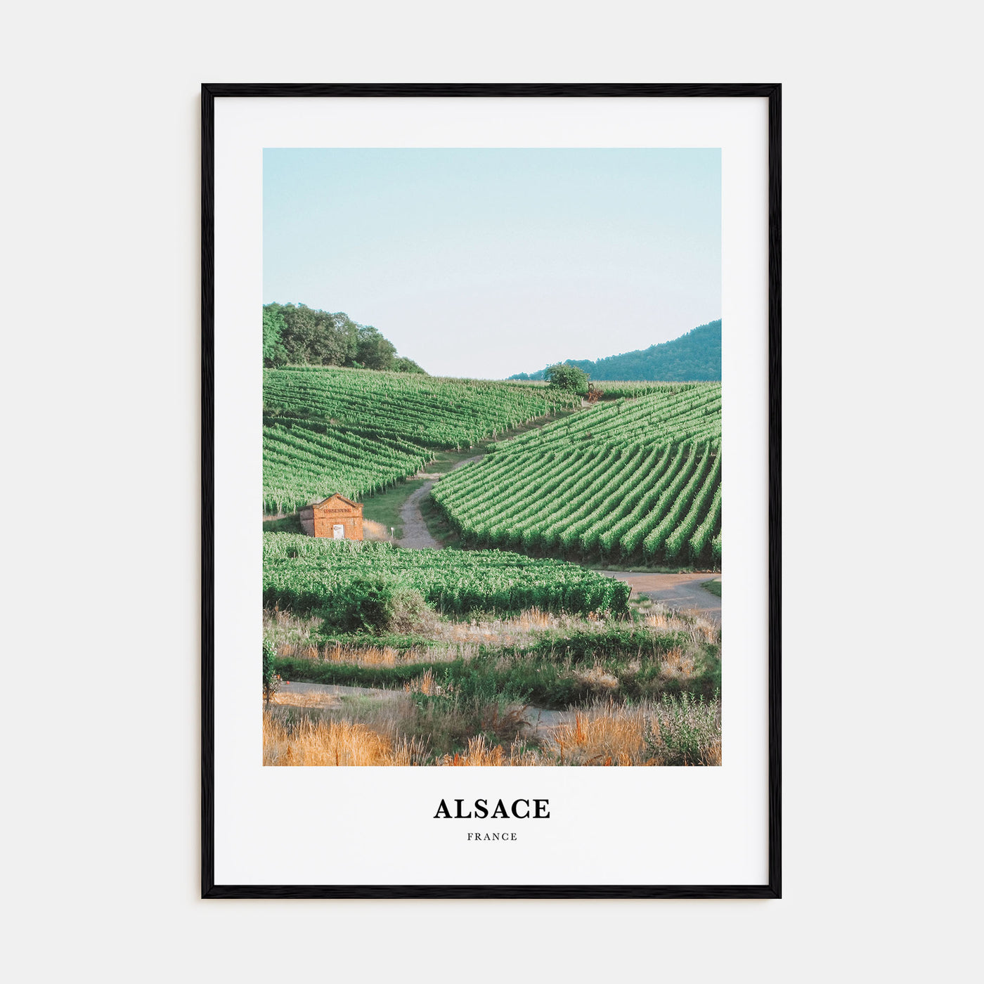 Alsace Portrait Color Poster