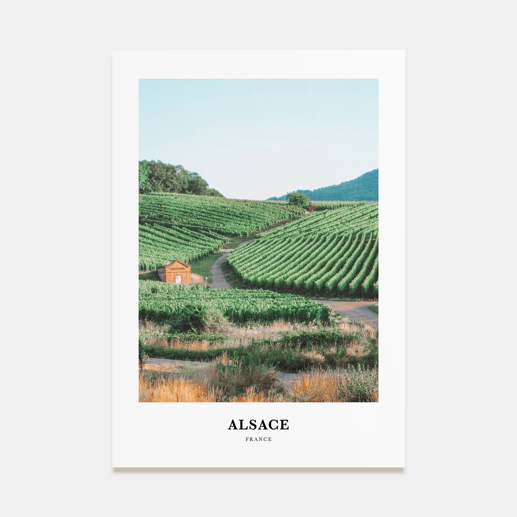 Alsace Portrait Color Poster