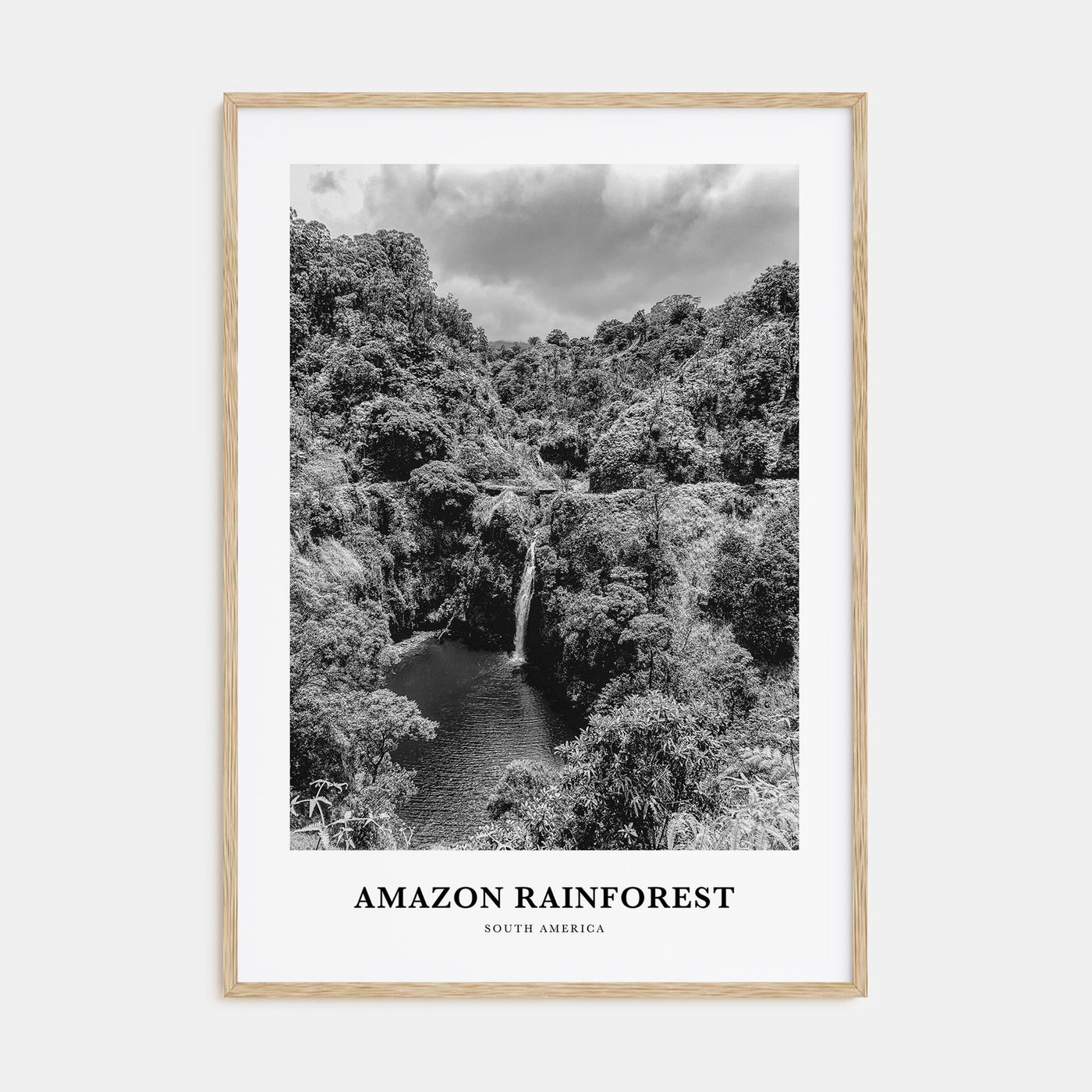 Amazon Rainforest Portrait B&W Poster