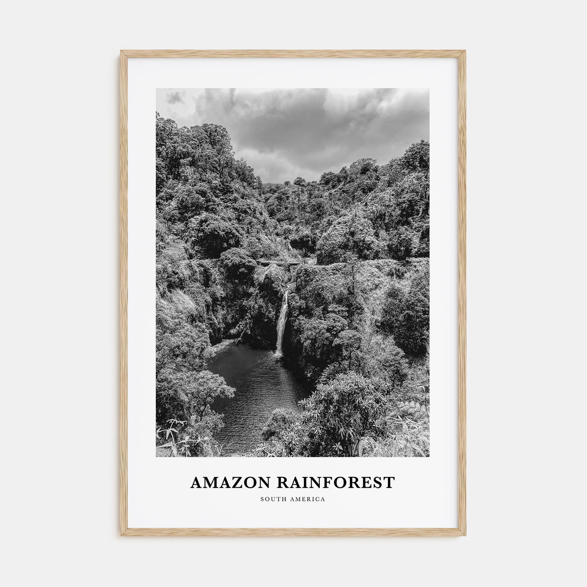 Amazon Rainforest Portrait B&W Poster