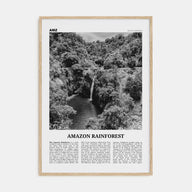 Amazon Rainforest Travel B&W Poster