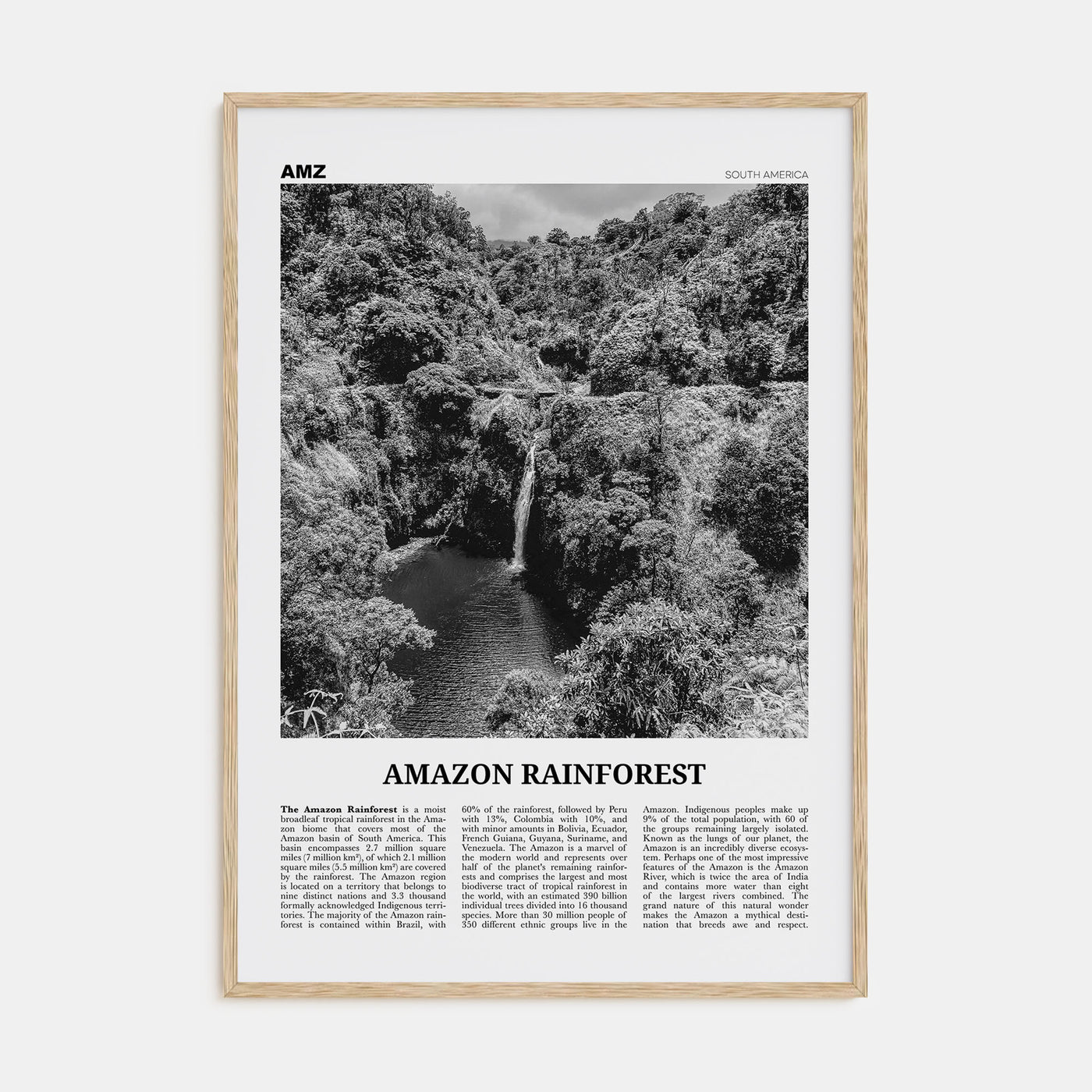 Amazon Rainforest Travel B&W Poster