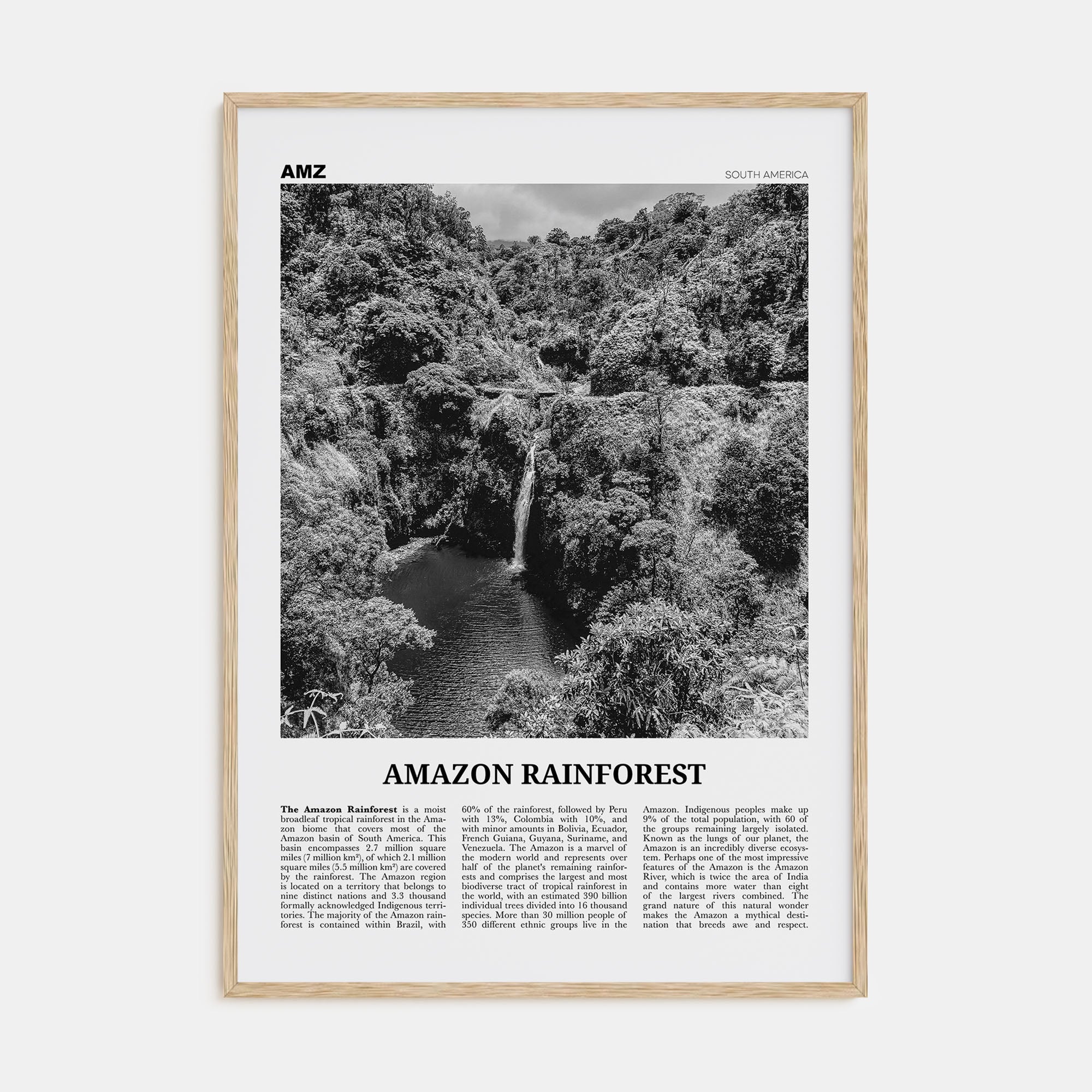 Amazon Rainforest Travel B&W Poster
