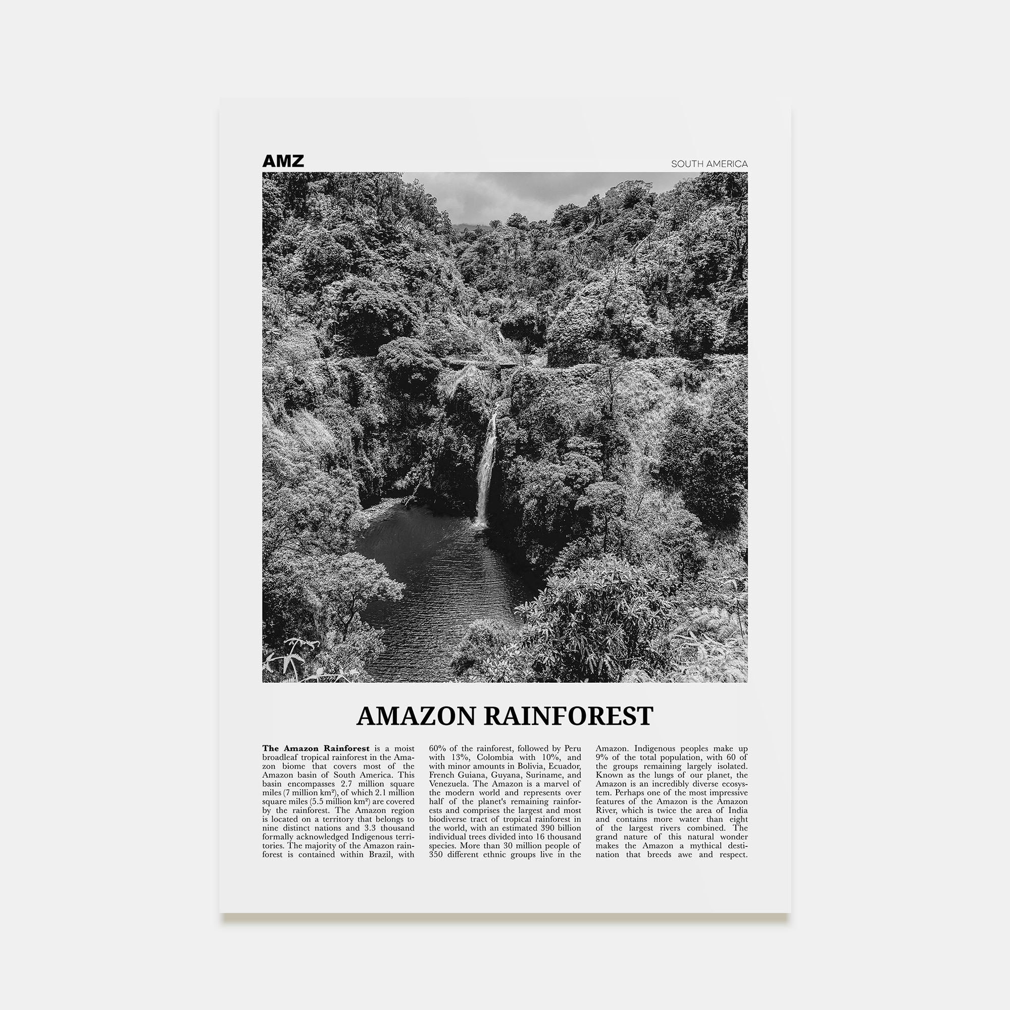 Amazon Rainforest Travel B&W Poster