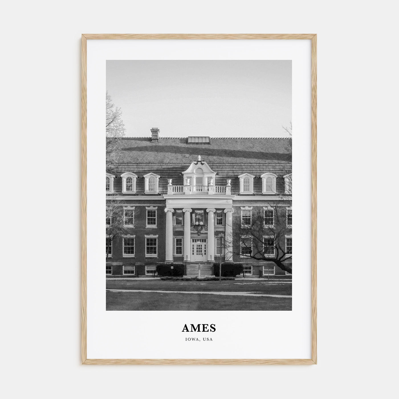 Ames Portrait B&W Poster