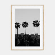 Anaheim Photo B&W Poster