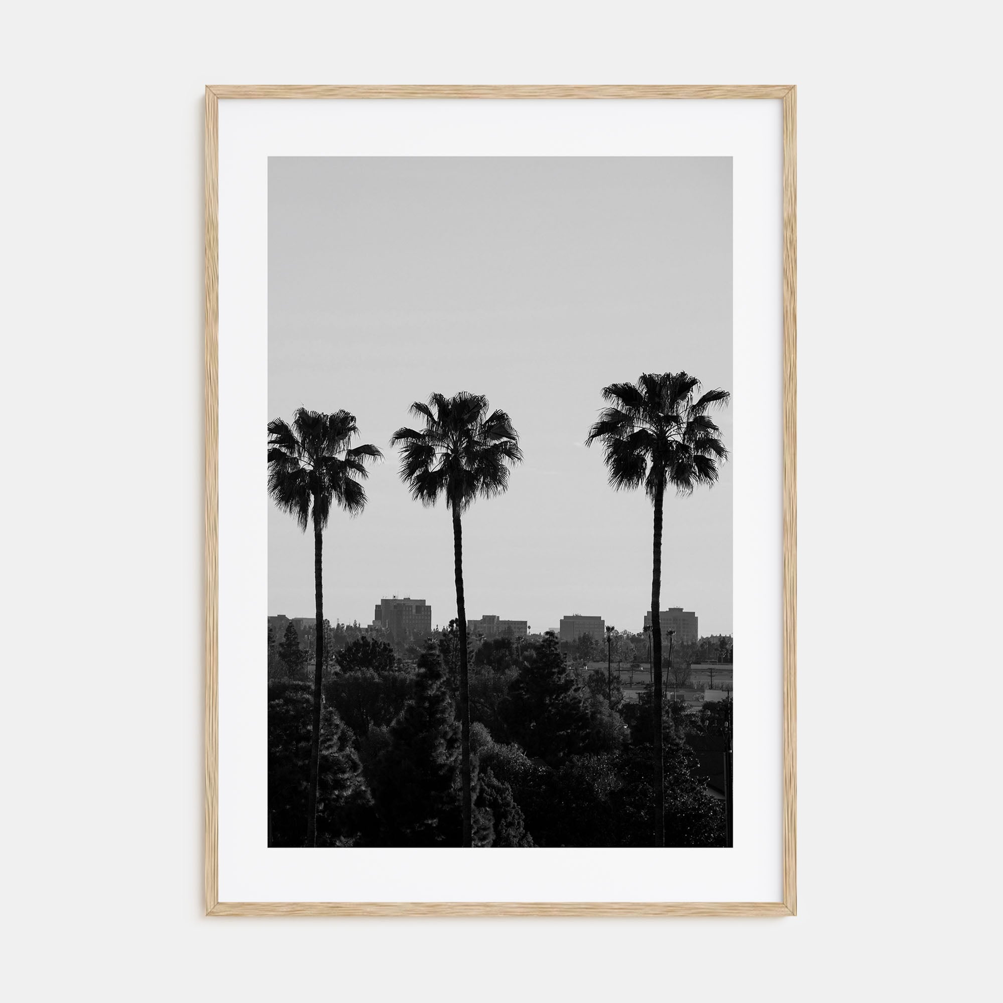 Anaheim Photo B&W Poster