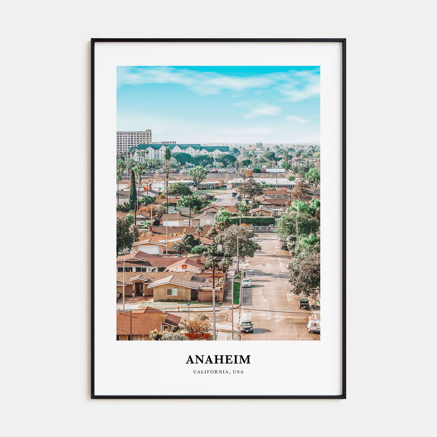 Anaheim Portrait Color Poster