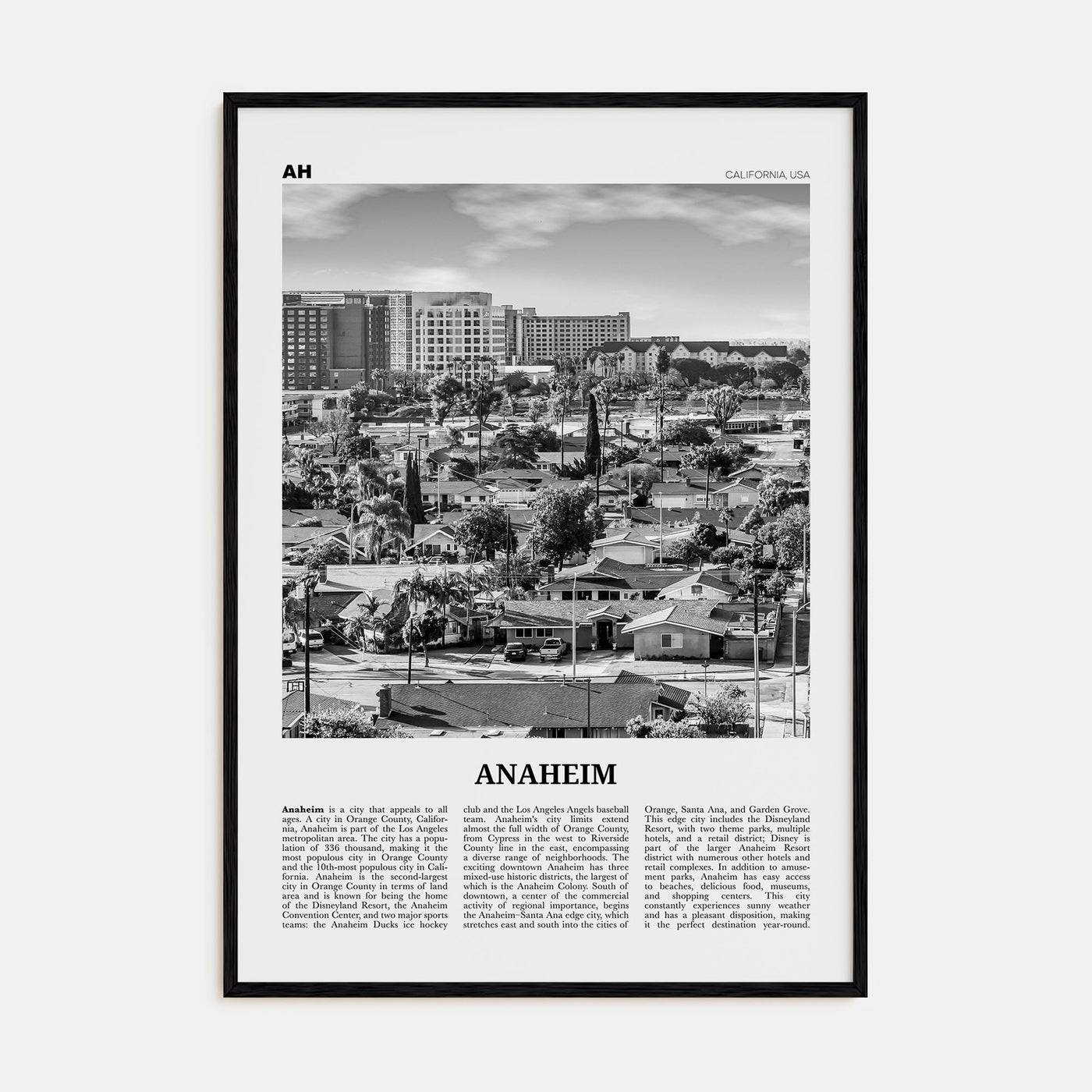 Anaheim Travel B&W No 2 Poster