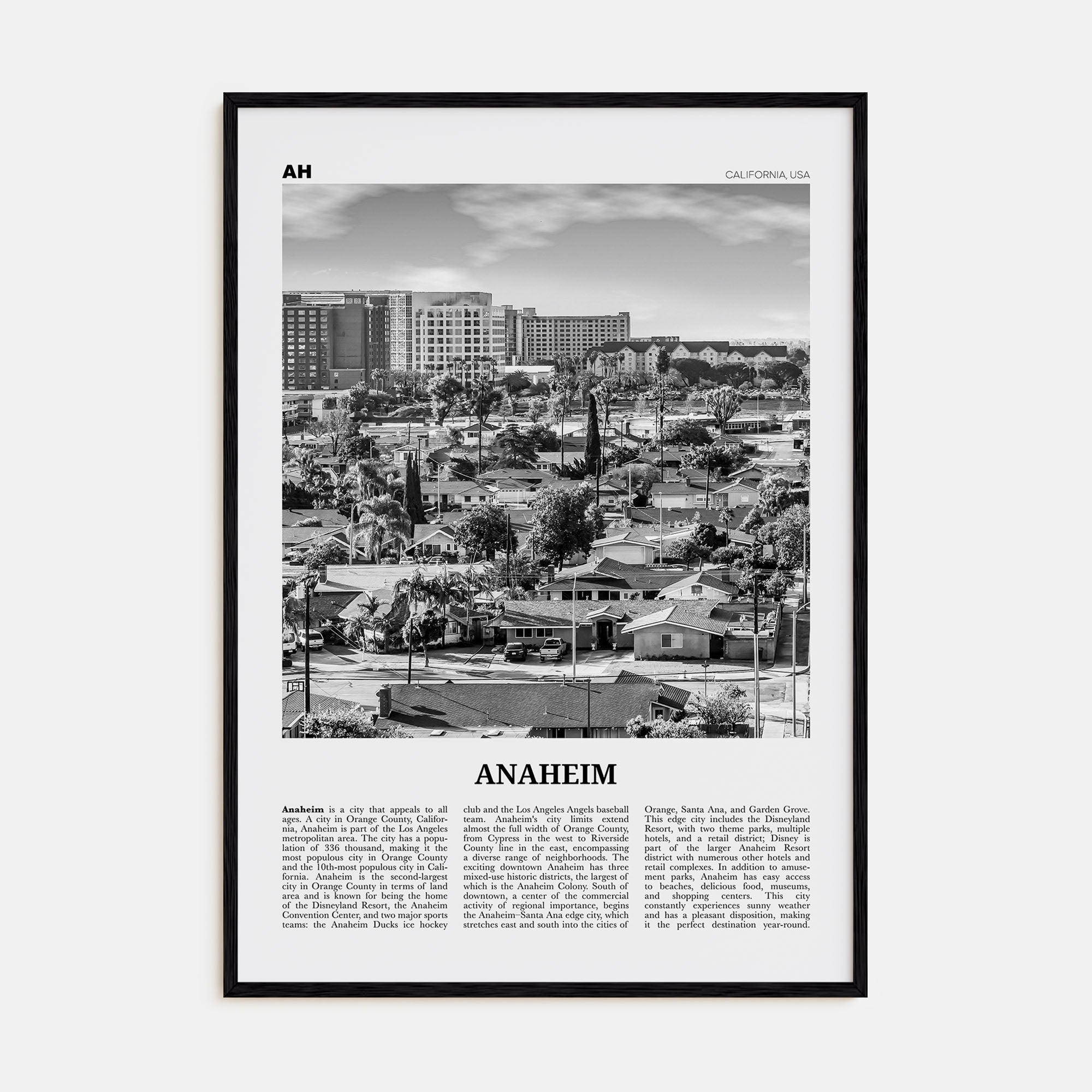 Anaheim Travel B&W No 2 Poster