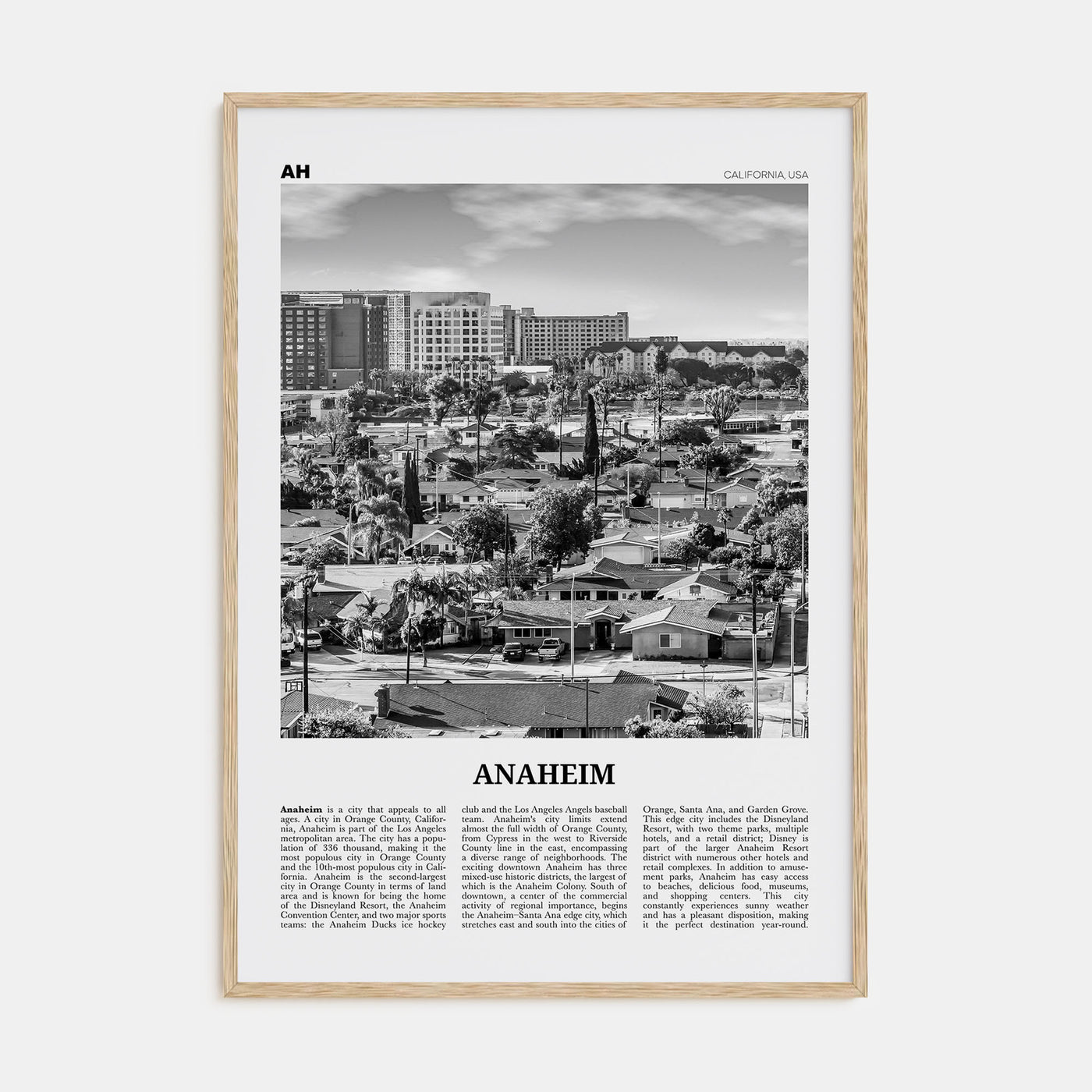 Anaheim Travel B&W No 2 Poster