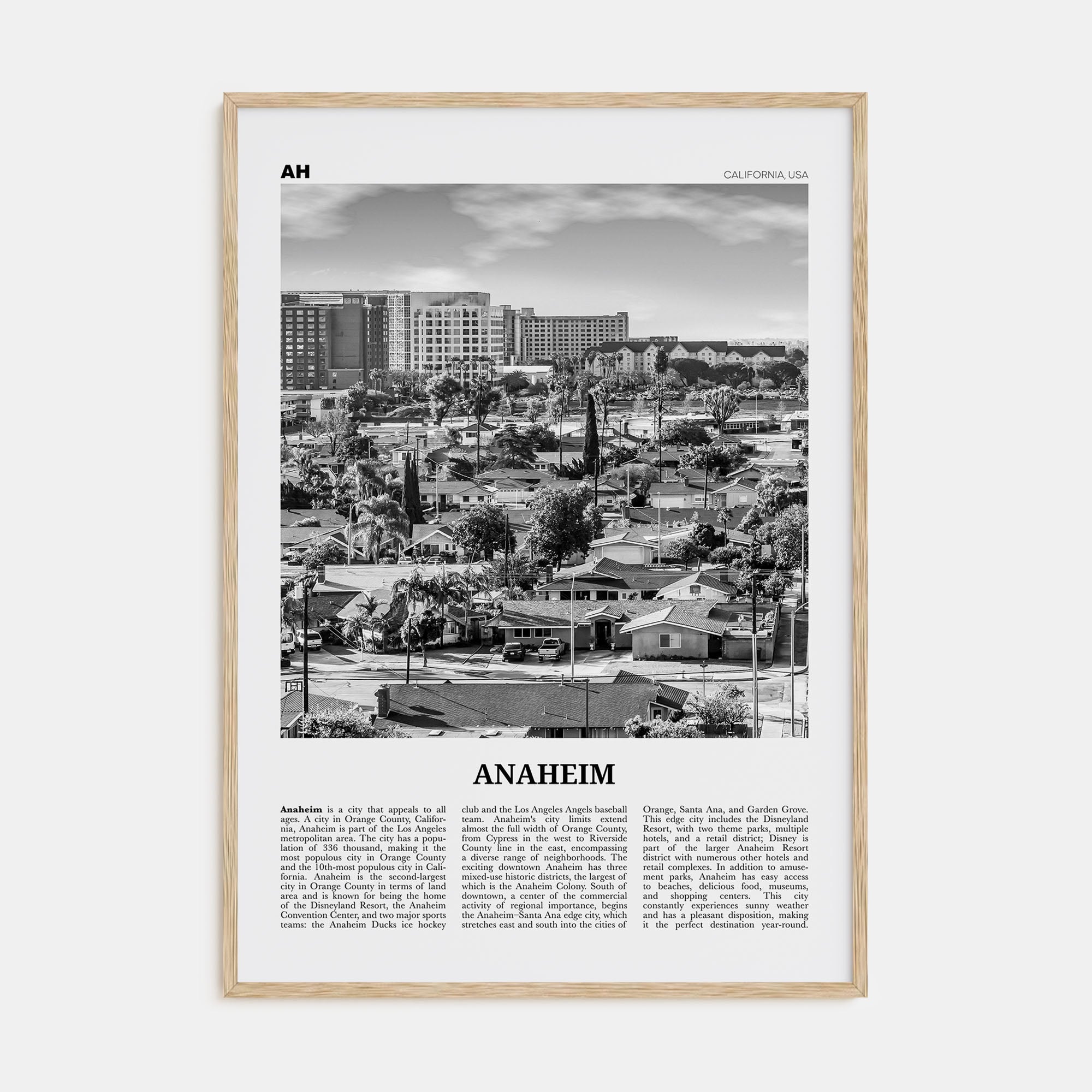 Anaheim Travel B&W No 2 Poster