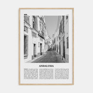 Andalusia Travel B&W No 1 Poster