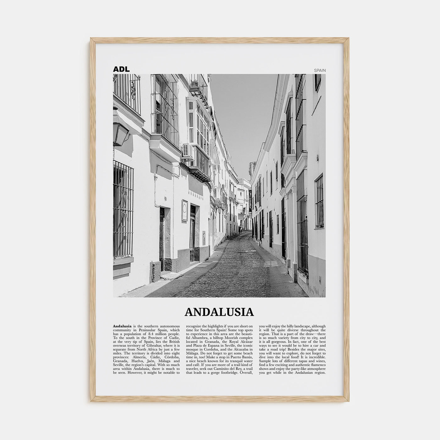 Andalusia Travel B&W No 1 Poster