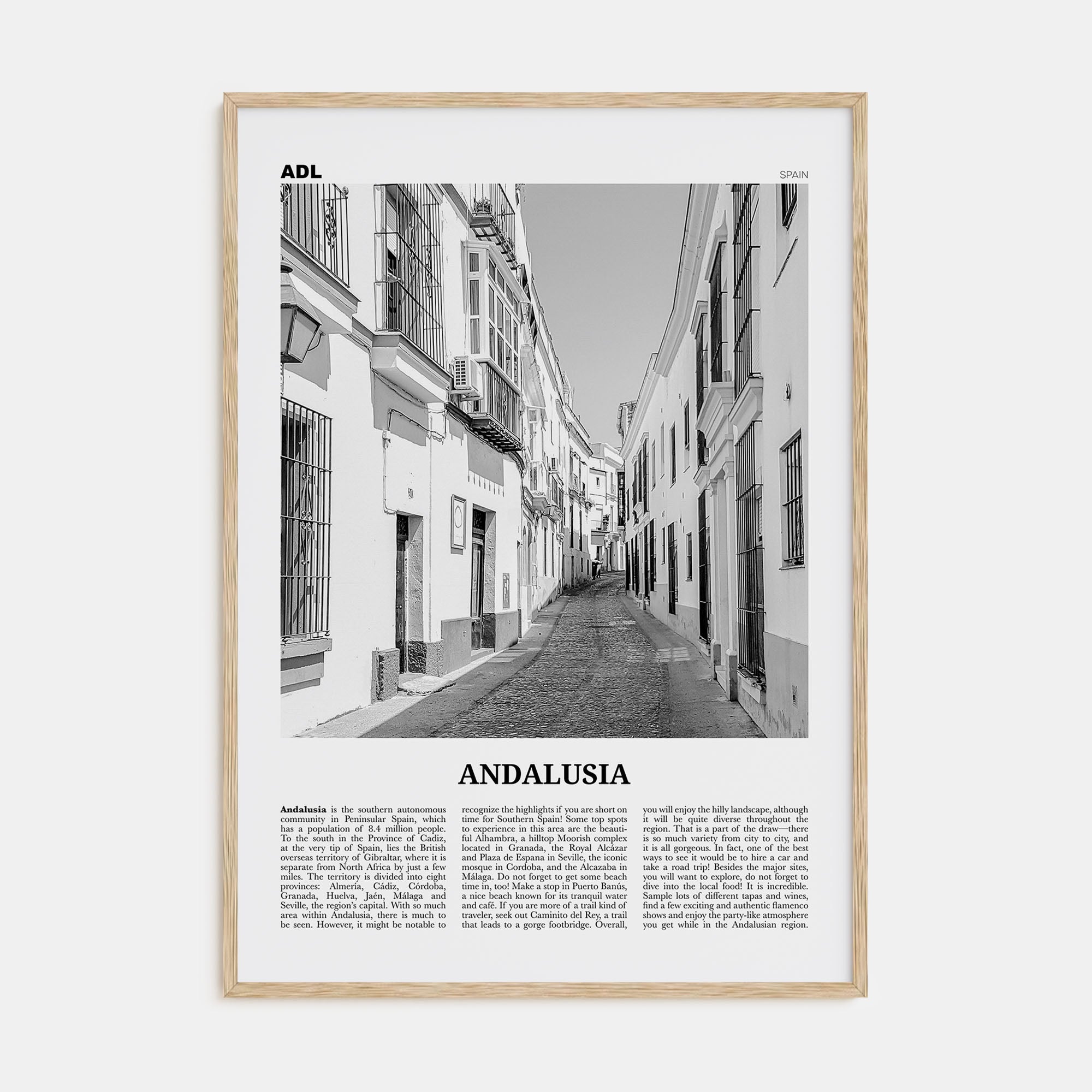 Andalusia Travel B&W No 1 Poster