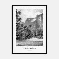 Angel Falls Portrait B&W Poster