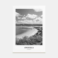 Anguilla Portrait B&W Poster