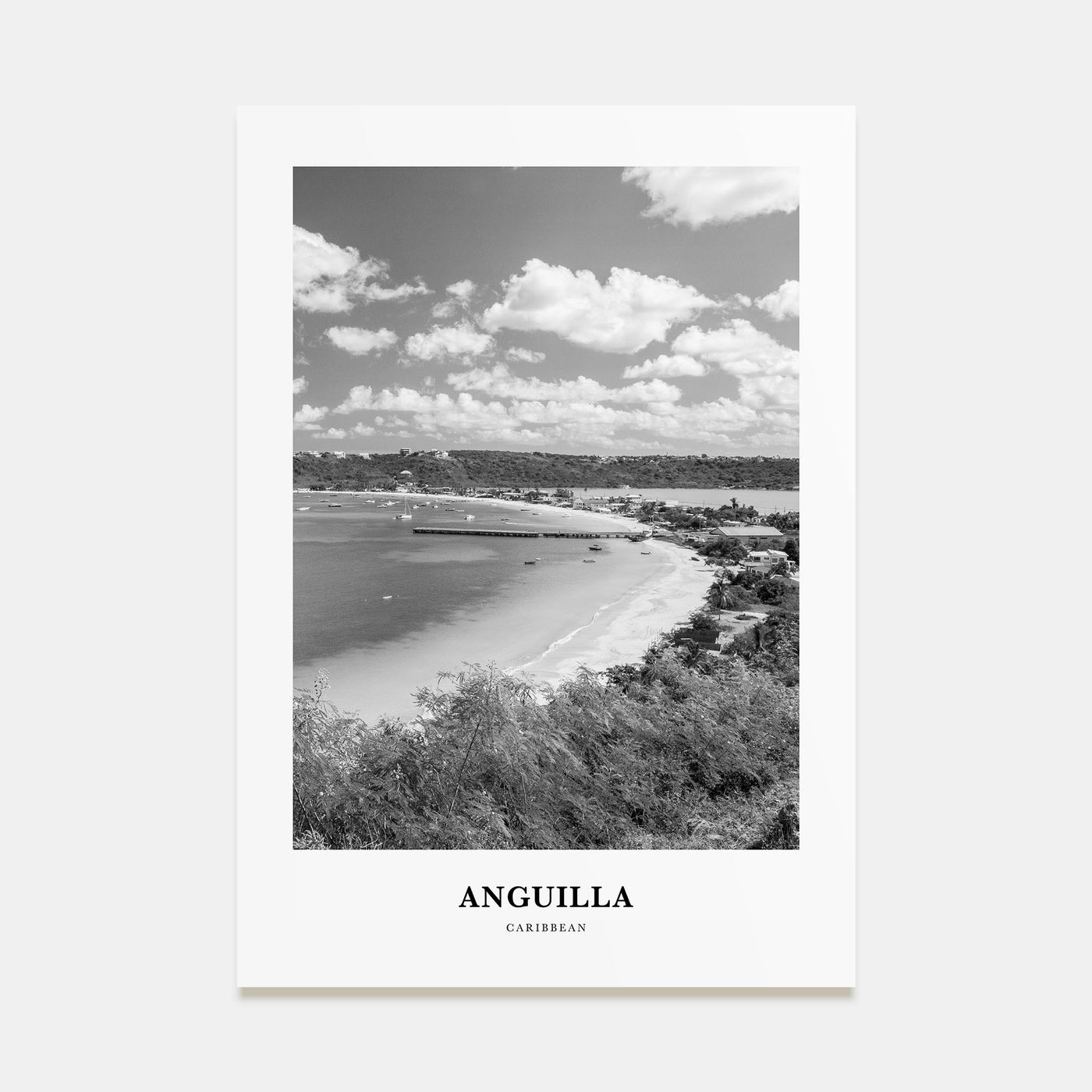Anguilla Portrait B&W Poster