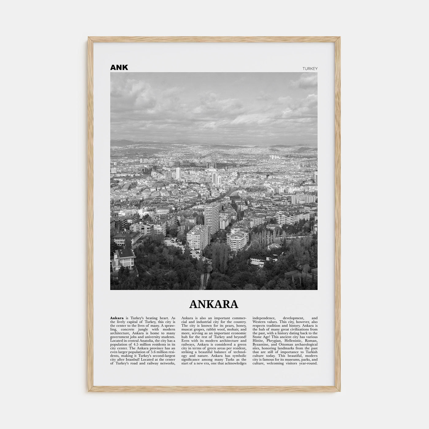Ankara Travel B&W Poster