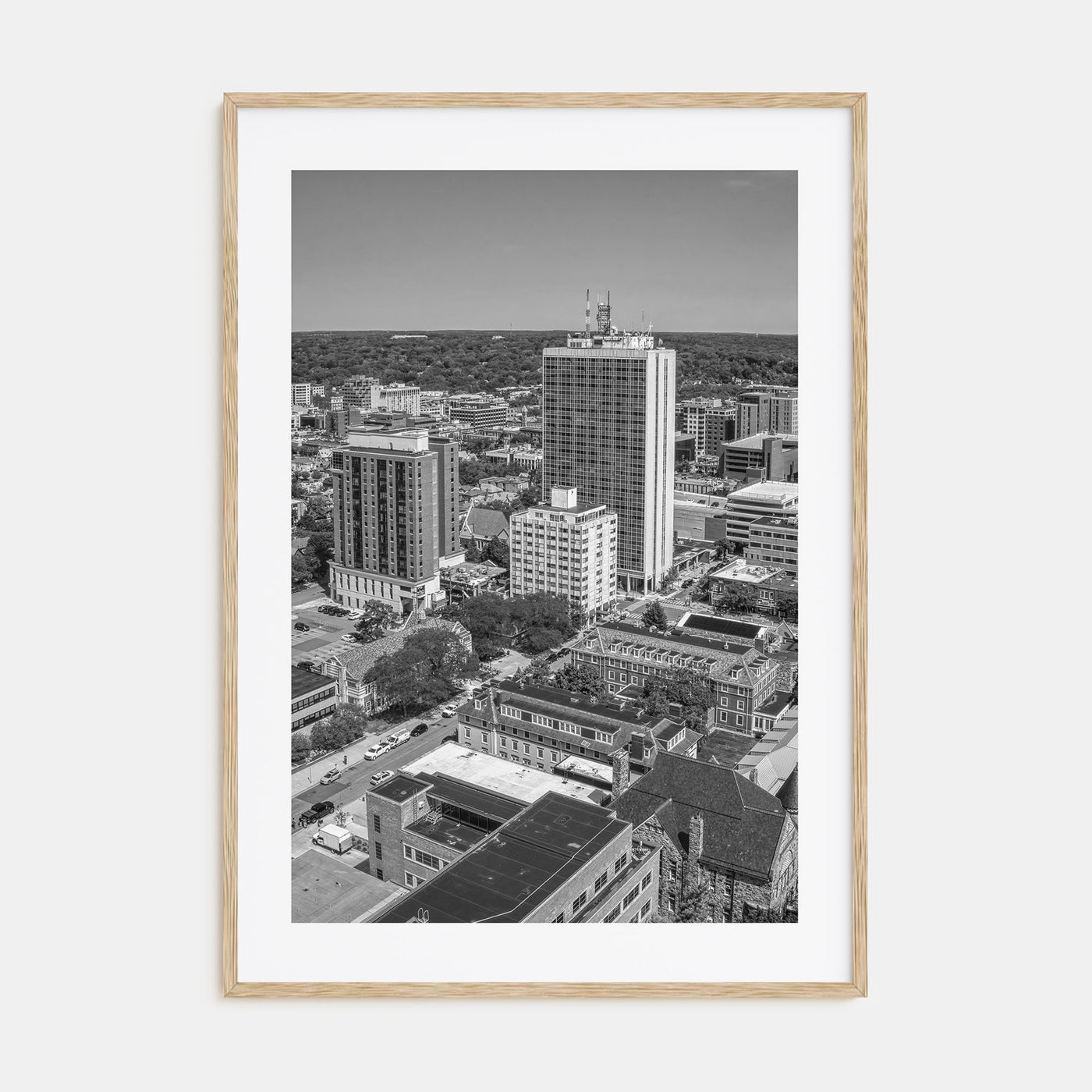 Ann Arbor Photo B&W No 1 Poster