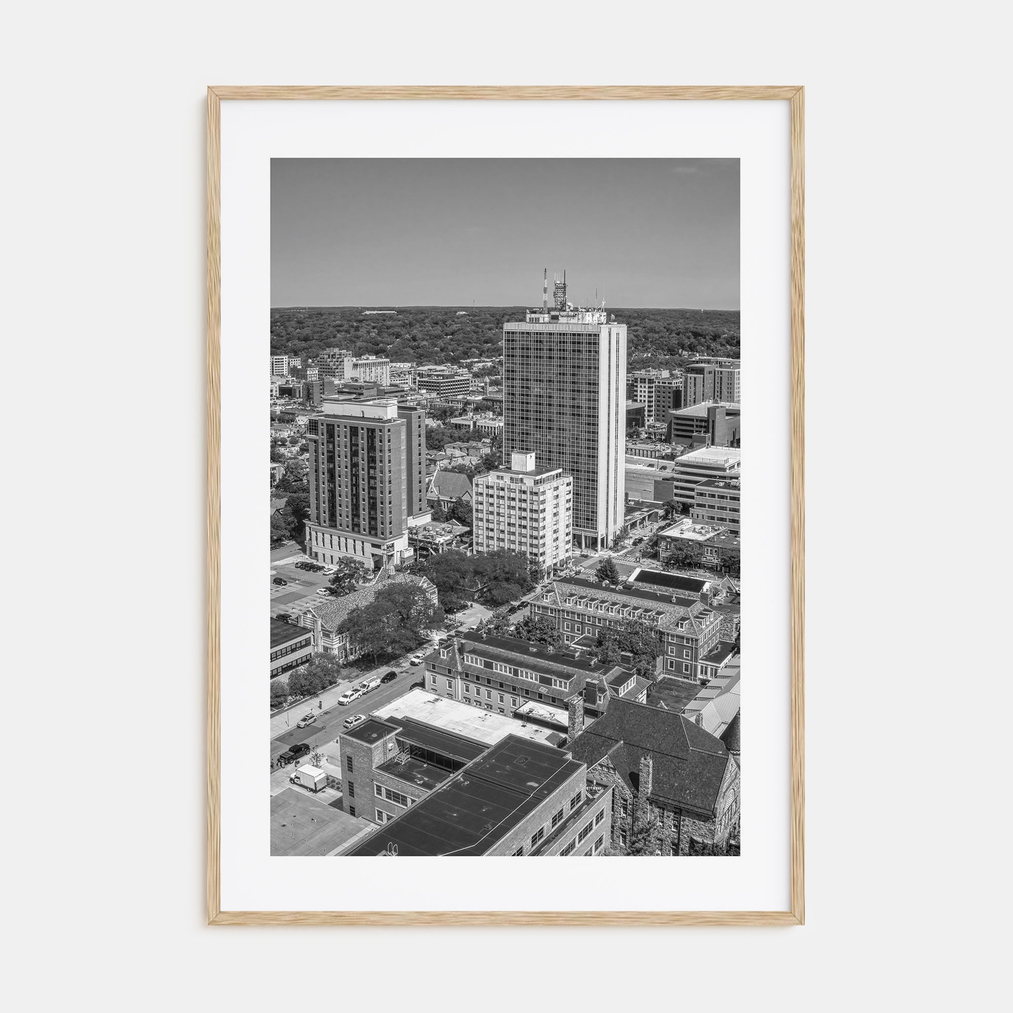 Ann Arbor Photo B&W No 1 Poster