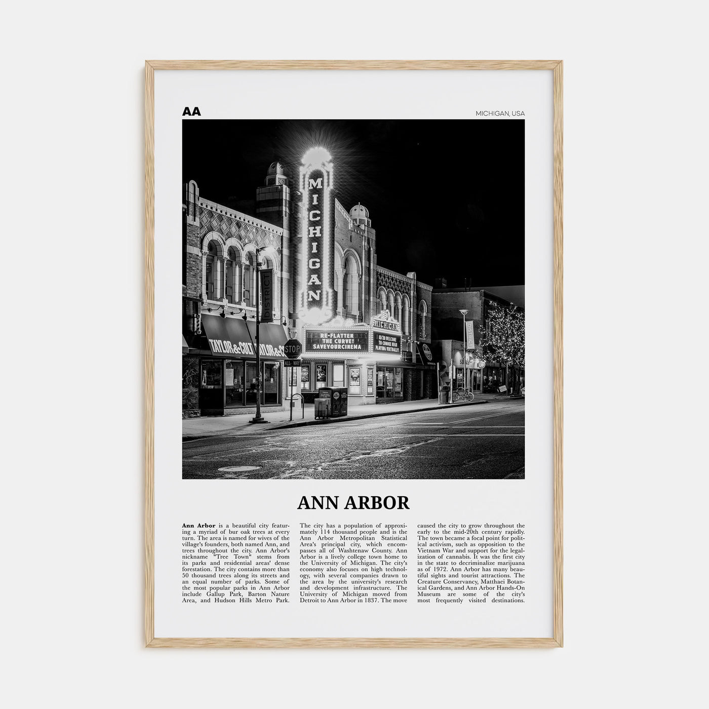 Ann Arbor Travel B&W No 1 Poster