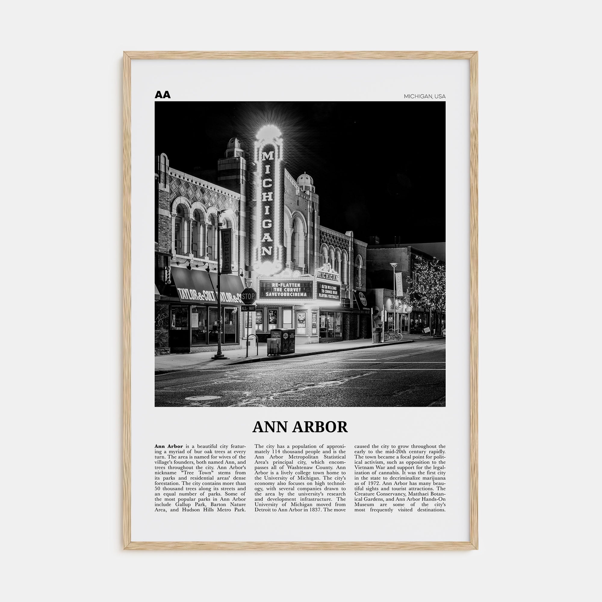Ann Arbor Travel B&W No 1 Poster