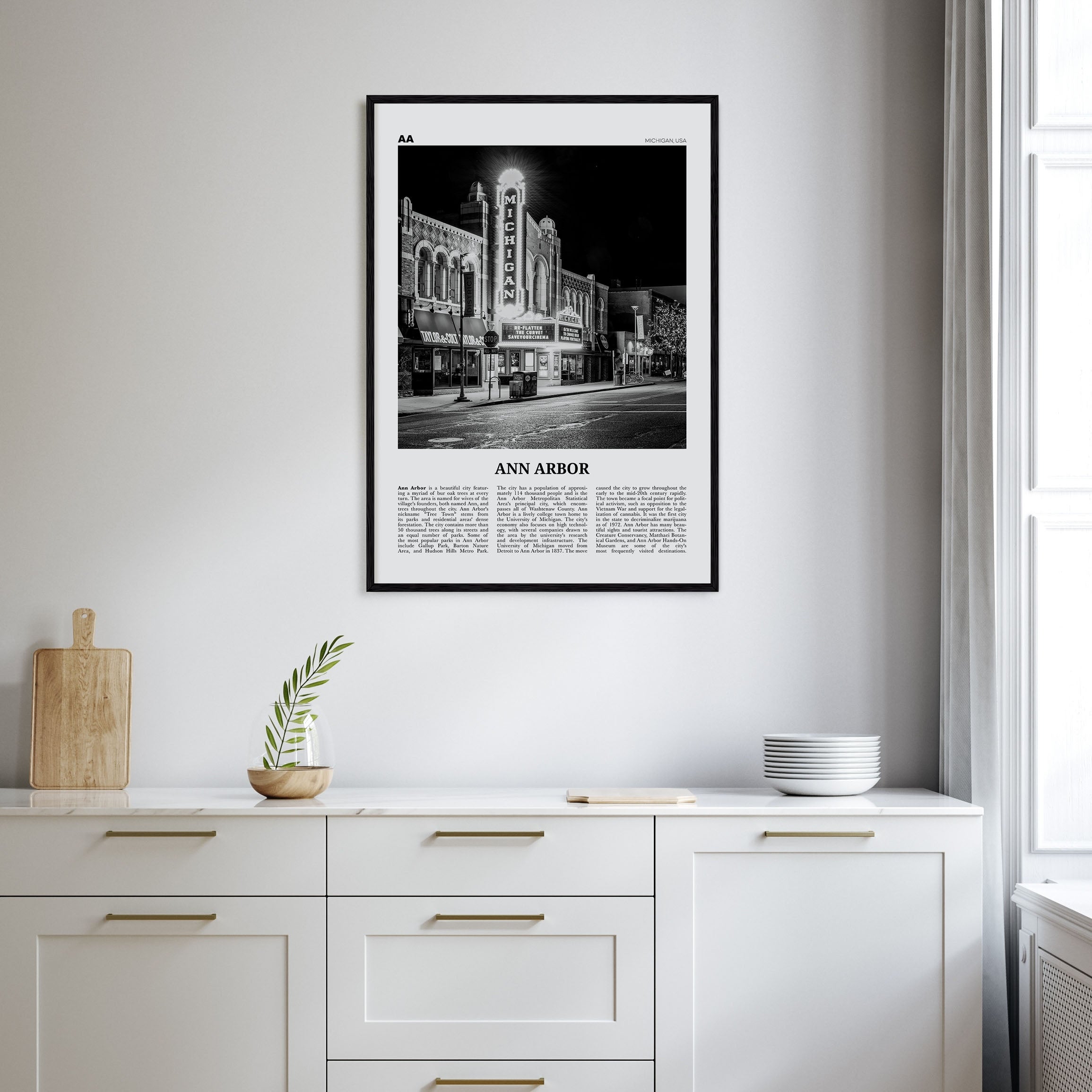 Ann Arbor Travel B&W No 1 Poster