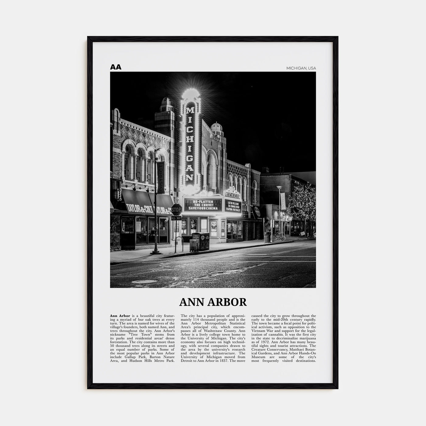 Ann Arbor Travel B&W No 1 Poster