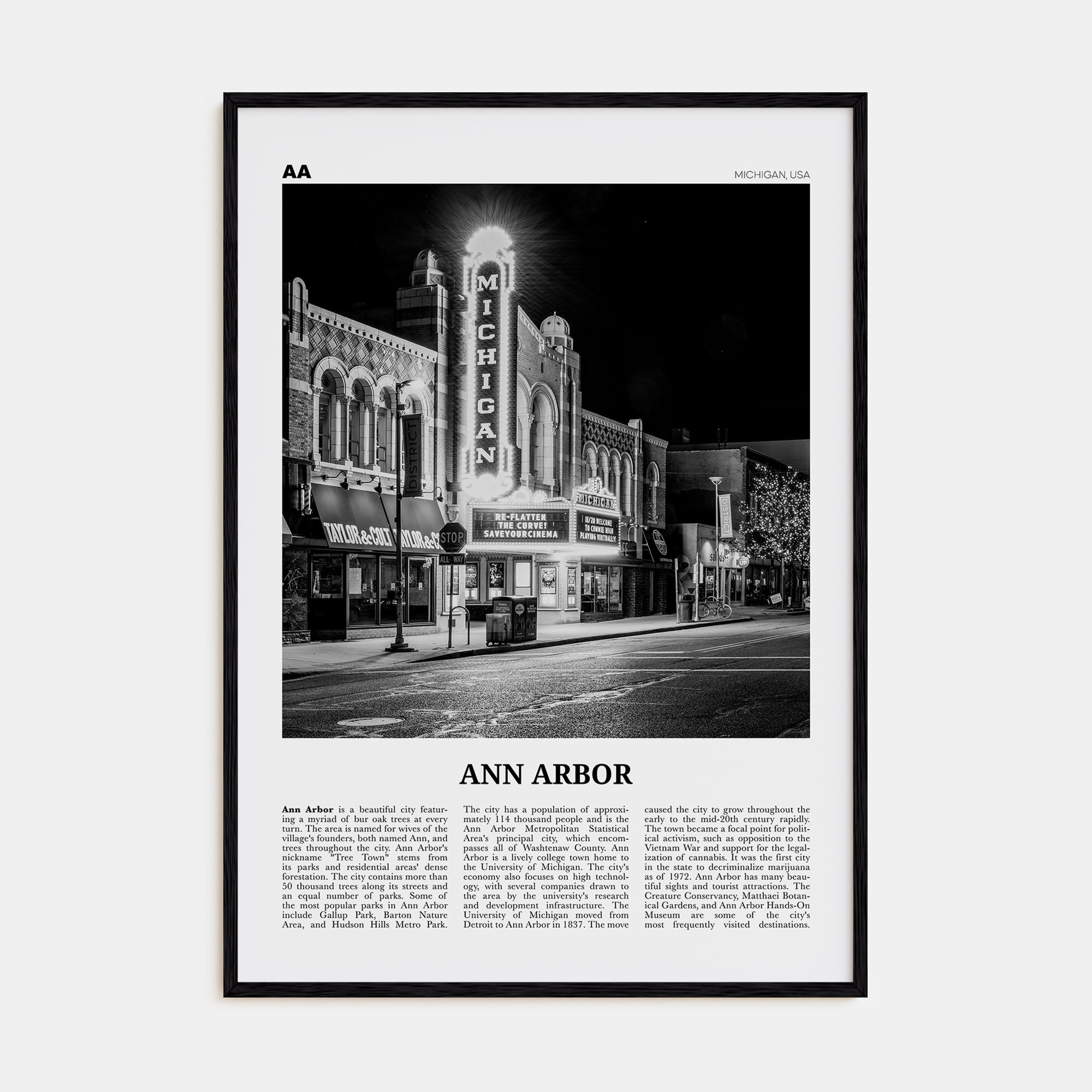 Ann Arbor Travel B&W No 1 Poster