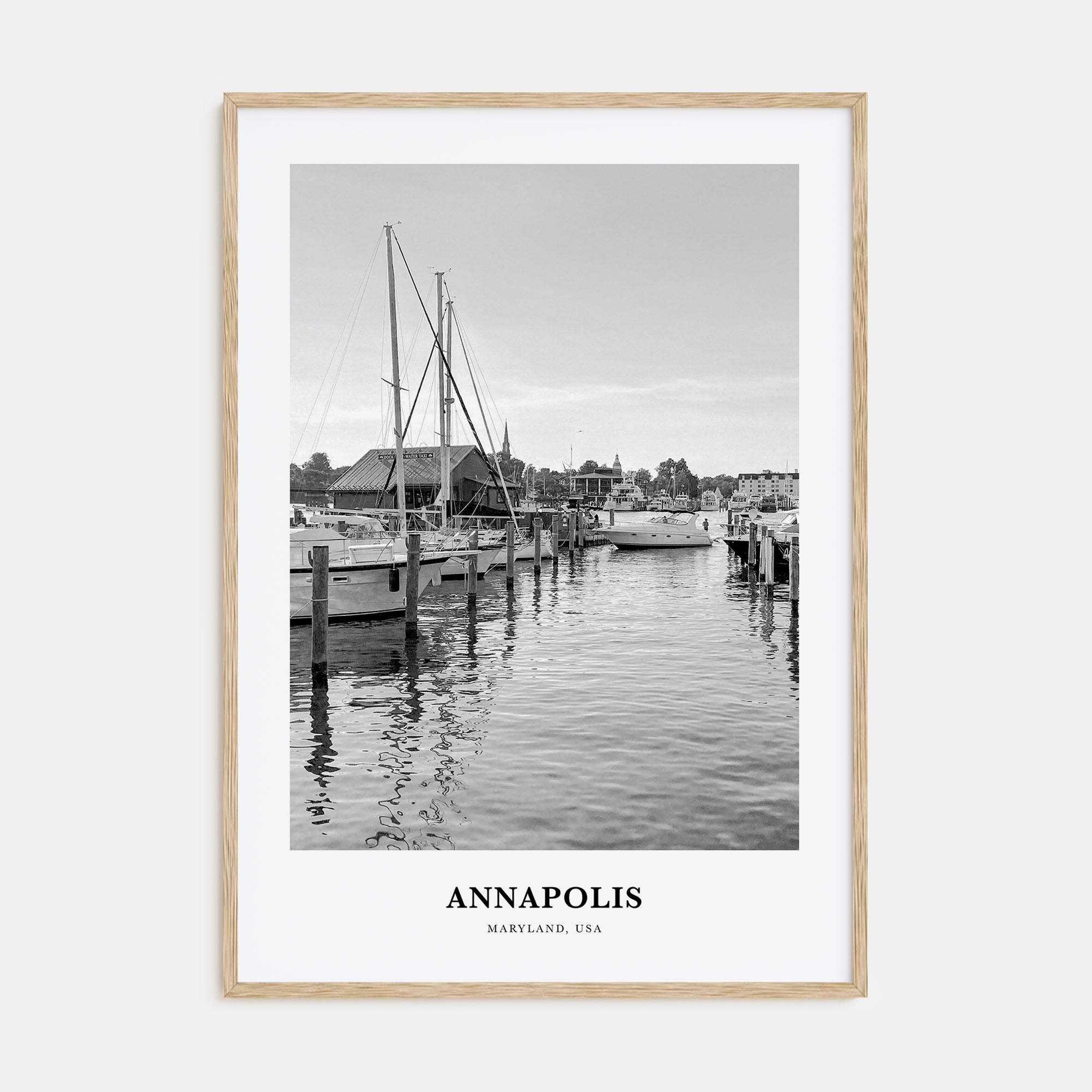 Annapolis Portrait B&W No 2 Poster