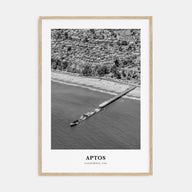 Aptos Portrait B&W Poster